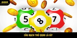 cau-bach-thu-la-gi-avatar